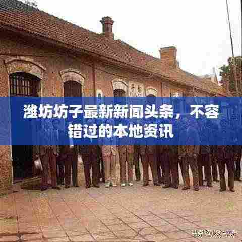 潍坊坊子最新新闻头条，不容错过的本地资讯