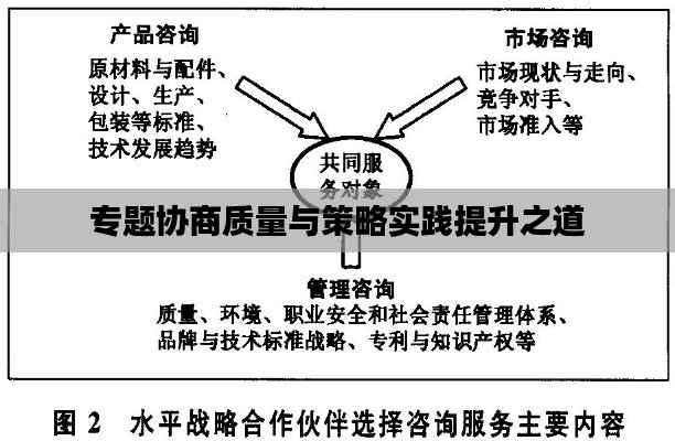 专题协商质量与策略实践提升之道